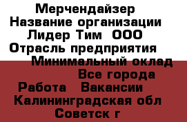 Мерчендайзер › Название организации ­ Лидер Тим, ООО › Отрасль предприятия ­ BTL › Минимальный оклад ­ 17 000 - Все города Работа » Вакансии   . Калининградская обл.,Советск г.